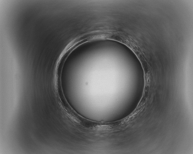 X0000116640150200912141242