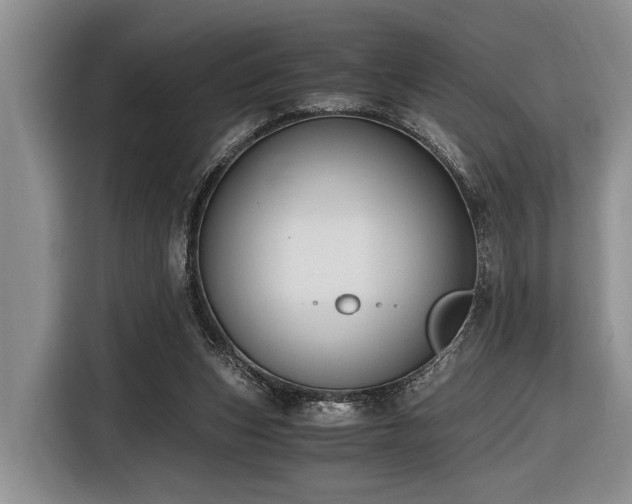 X0000116640159200912141242