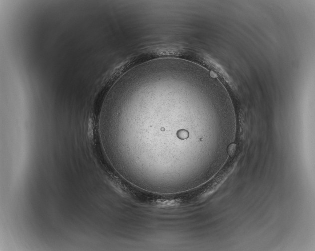 X0000116640161200912141242