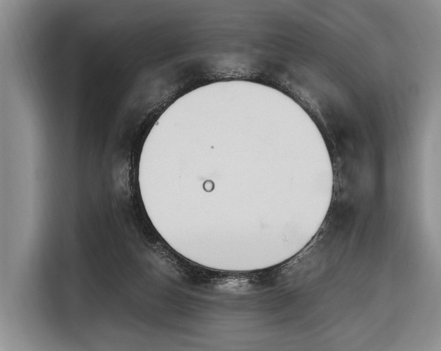 X0000116640162200912141242