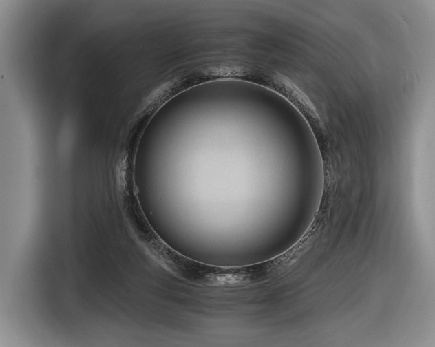 X0000116640163200912141242