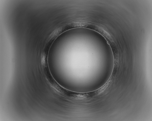 X0000116640166200912141242