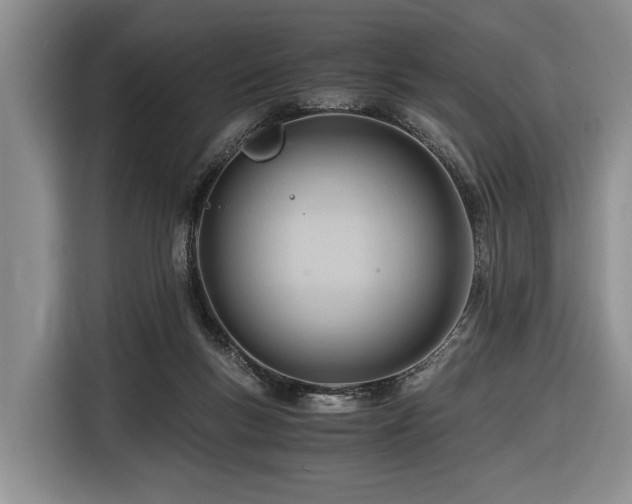 X0000116640167200912141242