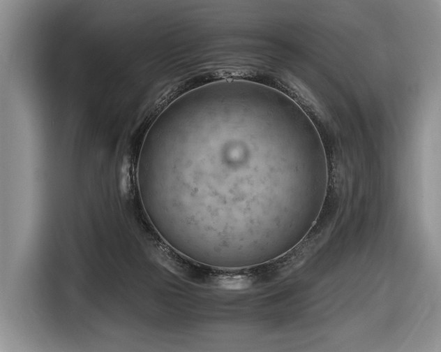 X0000116640169200912141242