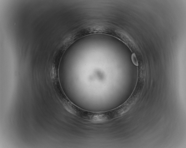 X0000116640173200912141242