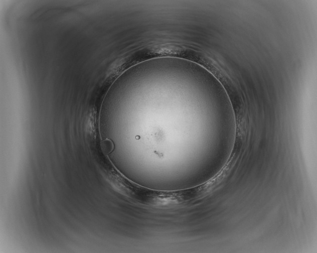 X0000116640175200912141242