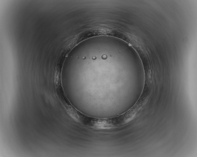 X0000116640177200912141242