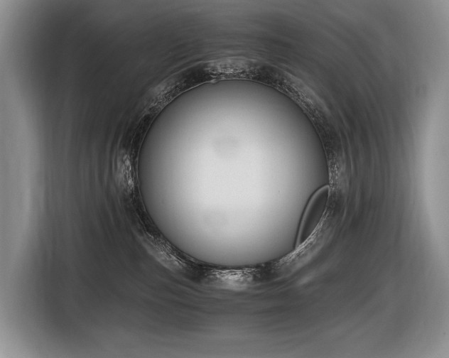 X0000116640187200912141243