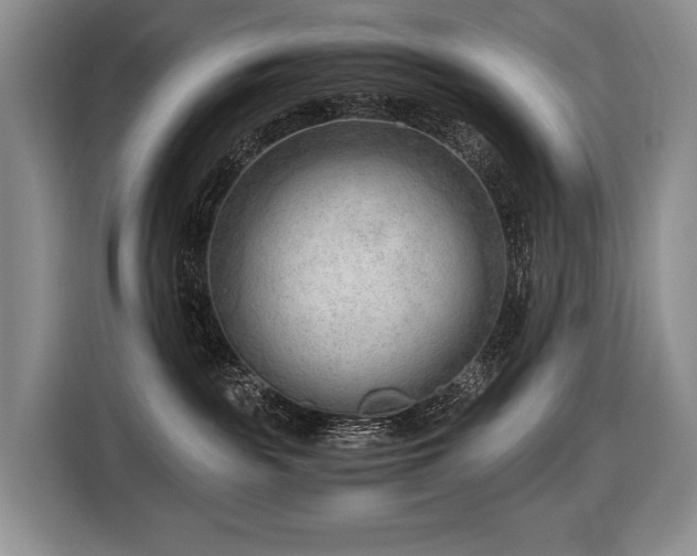 X0000116640189200912141243