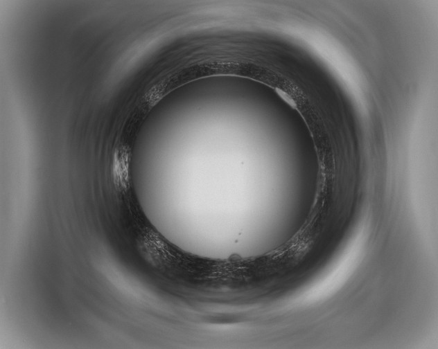 X0000116640190200912141243