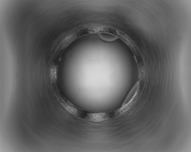 X0000116640191200912141243