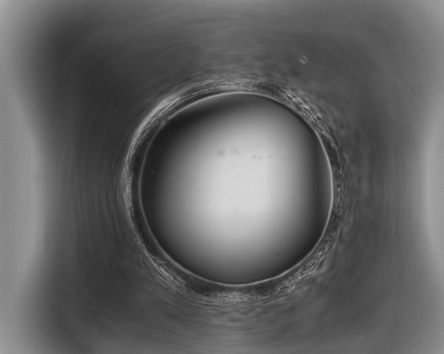 X0000116640197200912141242