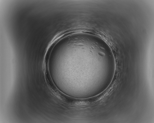 X0000116640198200912141242