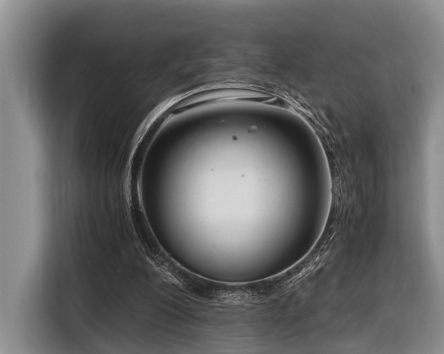 X0000116640200200912141242