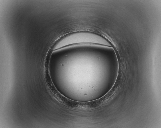 X0000116640203200912141242