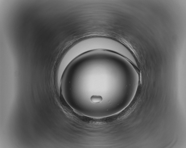 X0000116640205200912141242