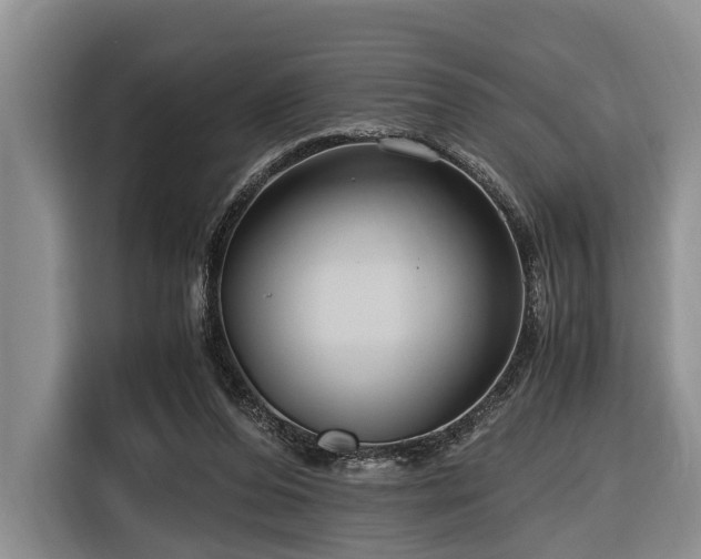 X0000116640208200912141242