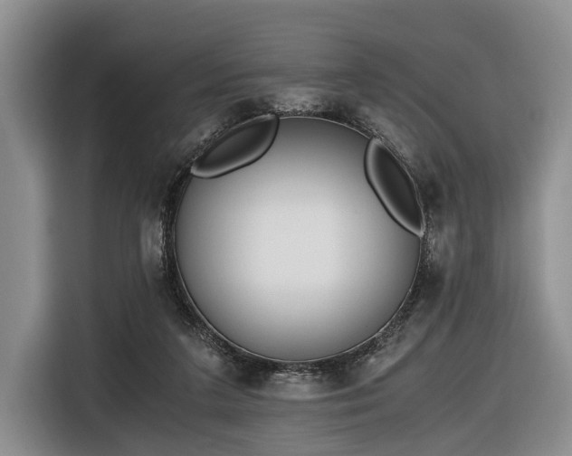 X0000116640211200912141242