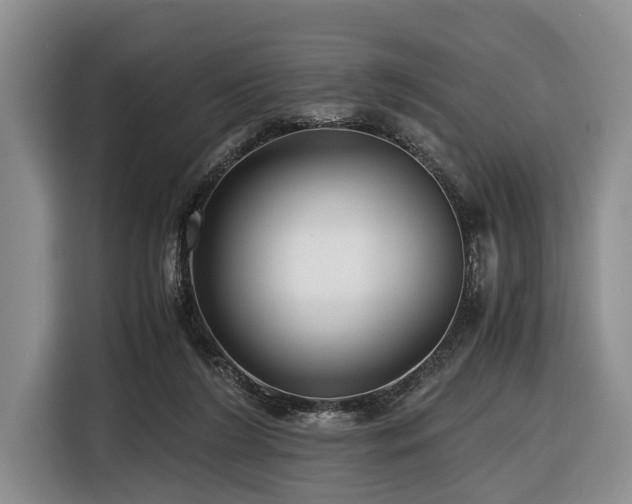 X0000116640212200912141242