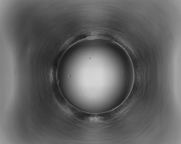 X0000116640216200912141242