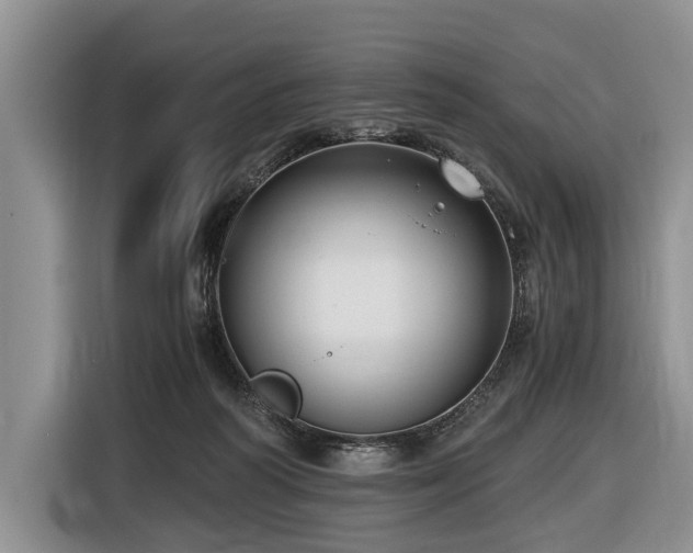 X0000116640218200912141242