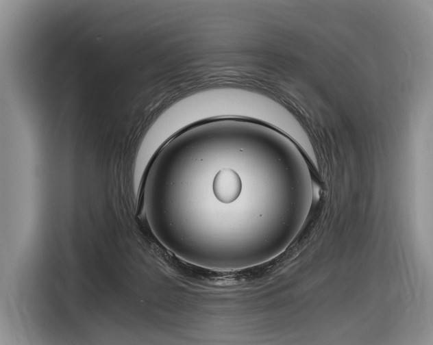 X0000116640219200912141242