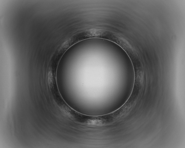 X0000116640220200912141242