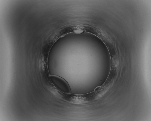 X0000116640223200912141242