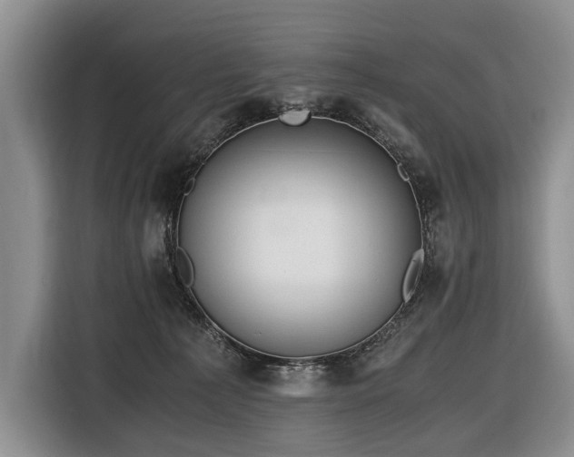 X0000116640225200912141242