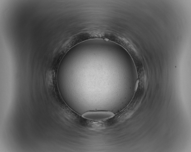 X0000116640229200912141242