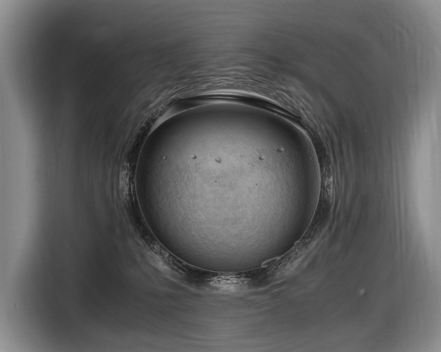 X0000116640231200912141242