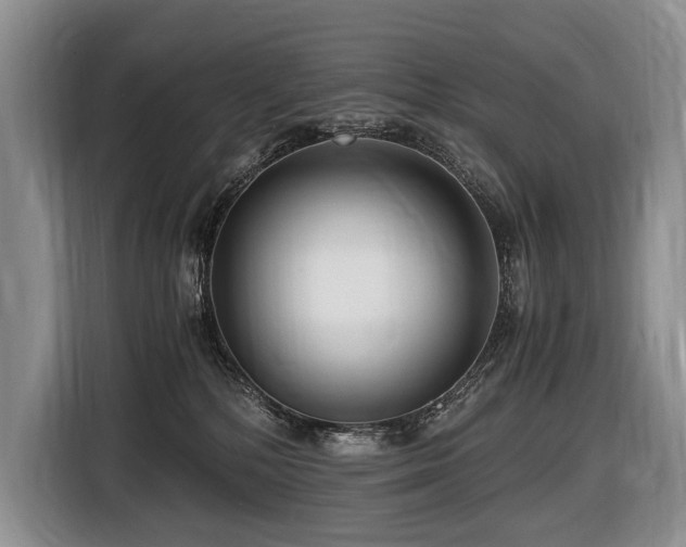 X0000116640232200912141242