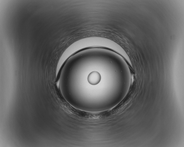 X0000116640235200912141242