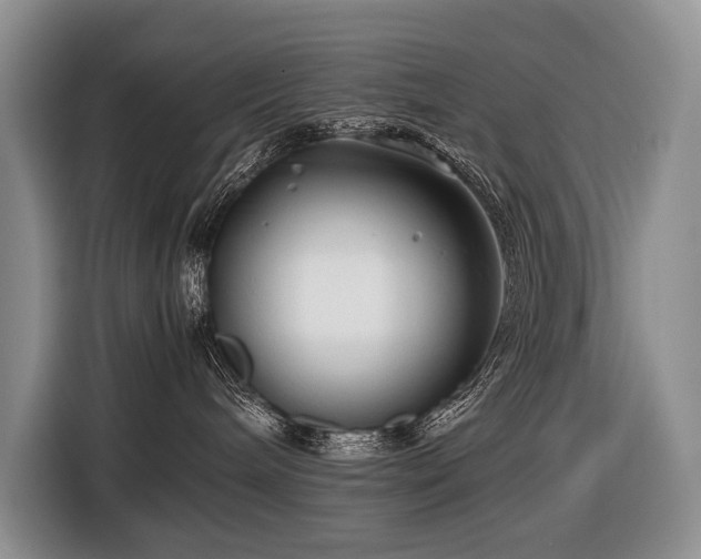 X0000116640240200912141241