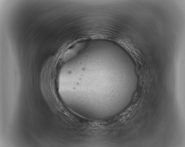 X0000116640241200912141241