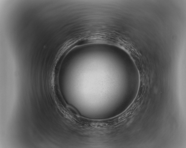 X0000116640242200912141241