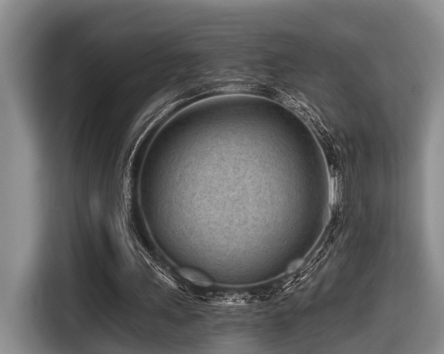 X0000116640243200912141241