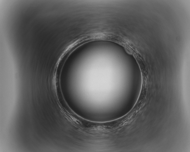 X0000116640244200912141241