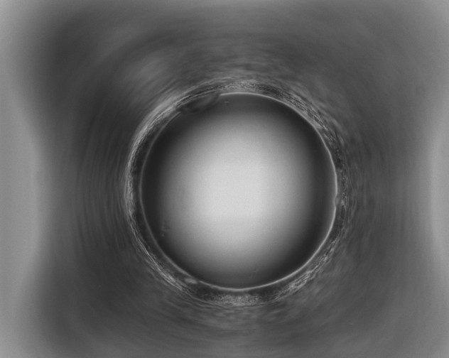 X0000116640245200912141241