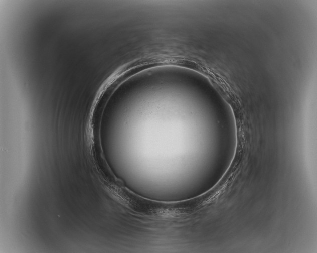 X0000116640246200912141241