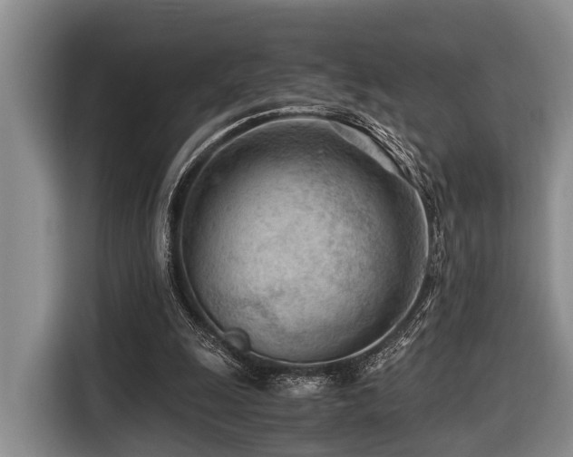 X0000116640247200912141241