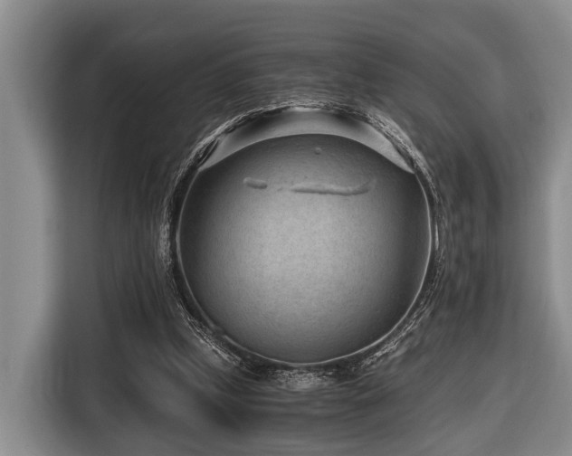 X0000116640249200912141241