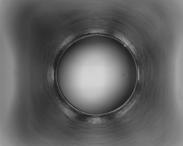 X0000116640253200912141241