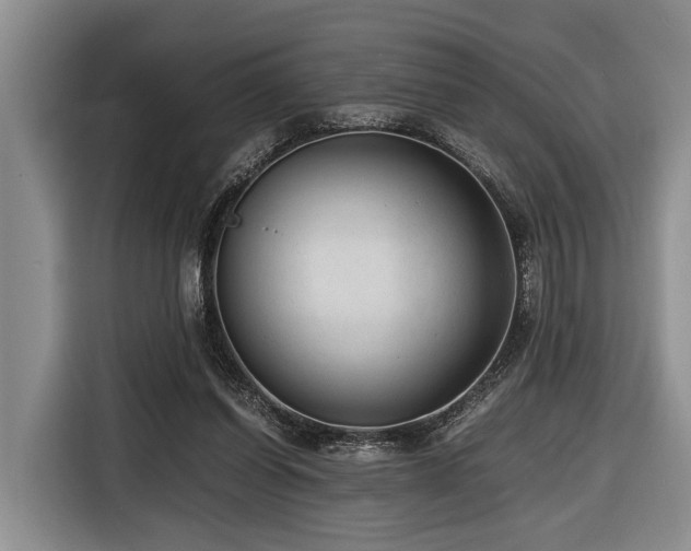 X0000116640254200912141241