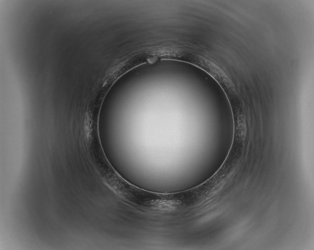 X0000116640255200912141241