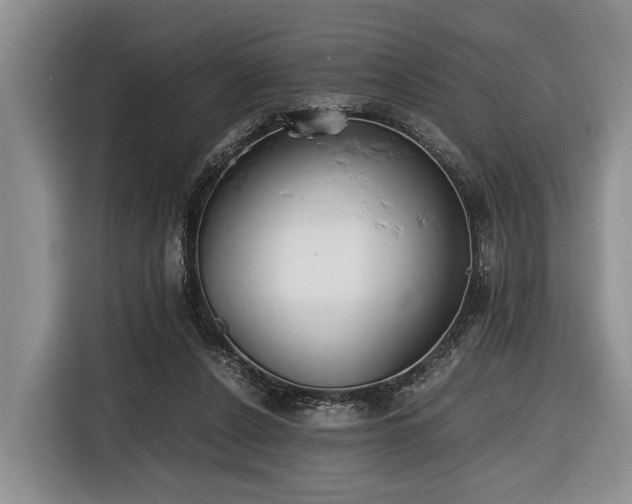 X0000116640256200912141241