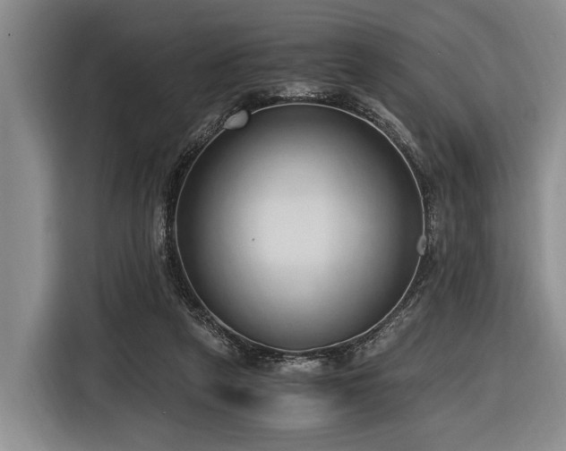 X0000116640257200912141241