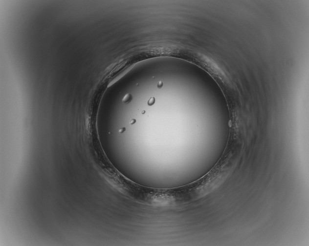 X0000116640258200912141241