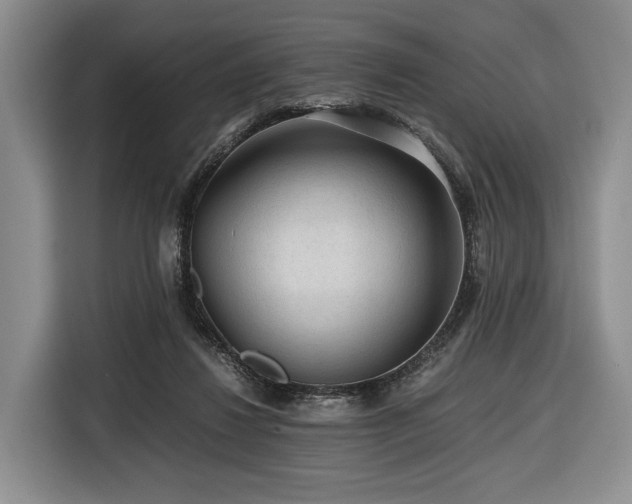 X0000116640260200912141241