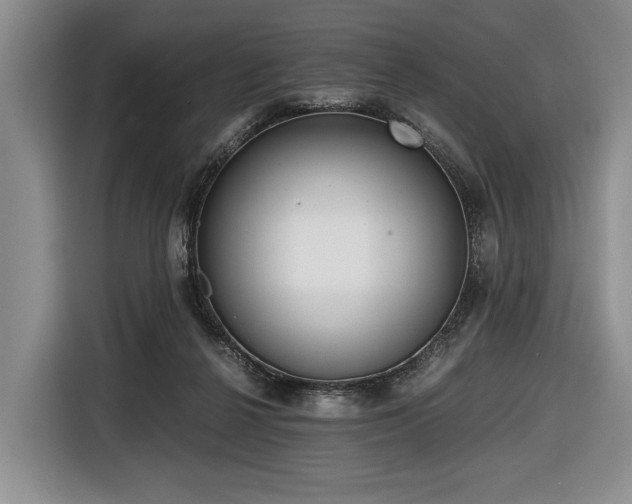 X0000116640264200912141241